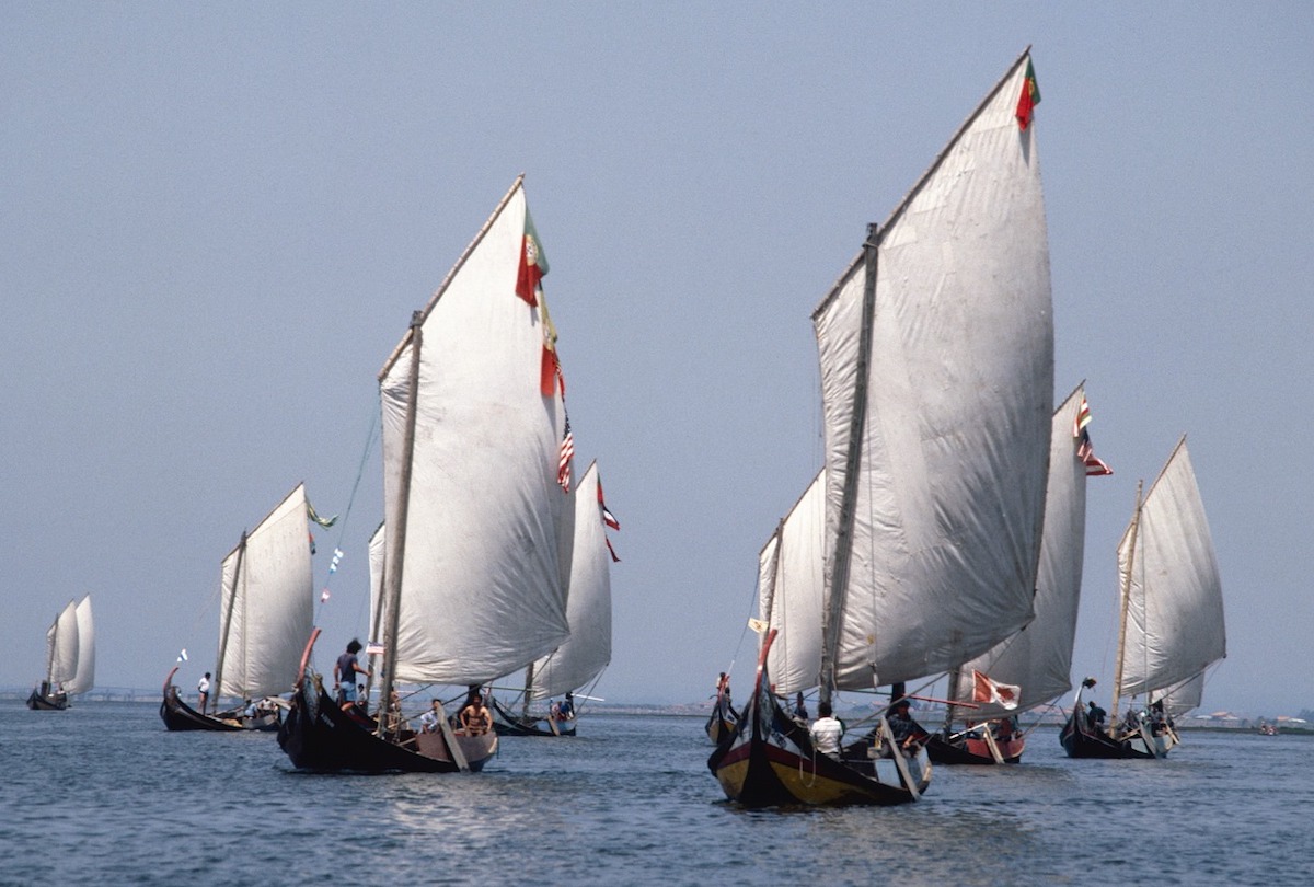 regata de moliceiros na Ria de Aveiro no coração passeios de moliceiro património cultural